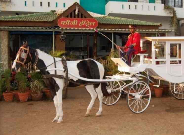 Konkani Restaurants in Malkapur Kolhapur, Kolhapur Restaurants