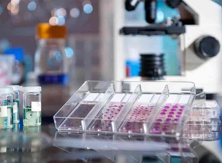 Lab view 16