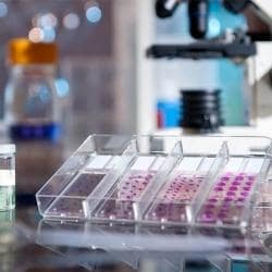 Lab view 15