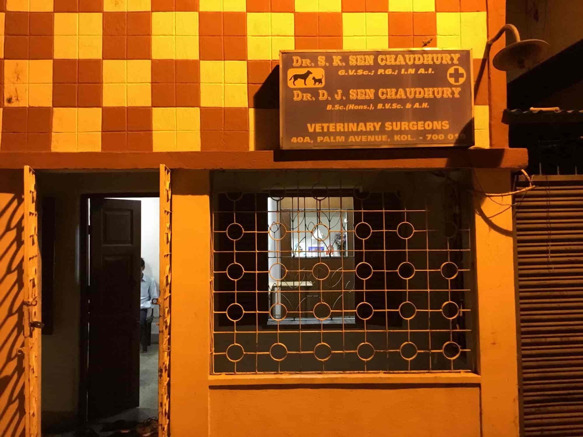 Dr. D J Sen Choudhury General Physician Doctors Book Appointment