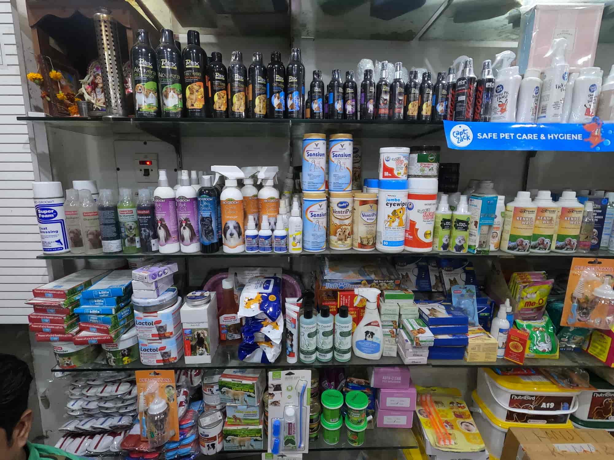 Top Pet Shops in Kolkata Best Pet Store near me Justdial