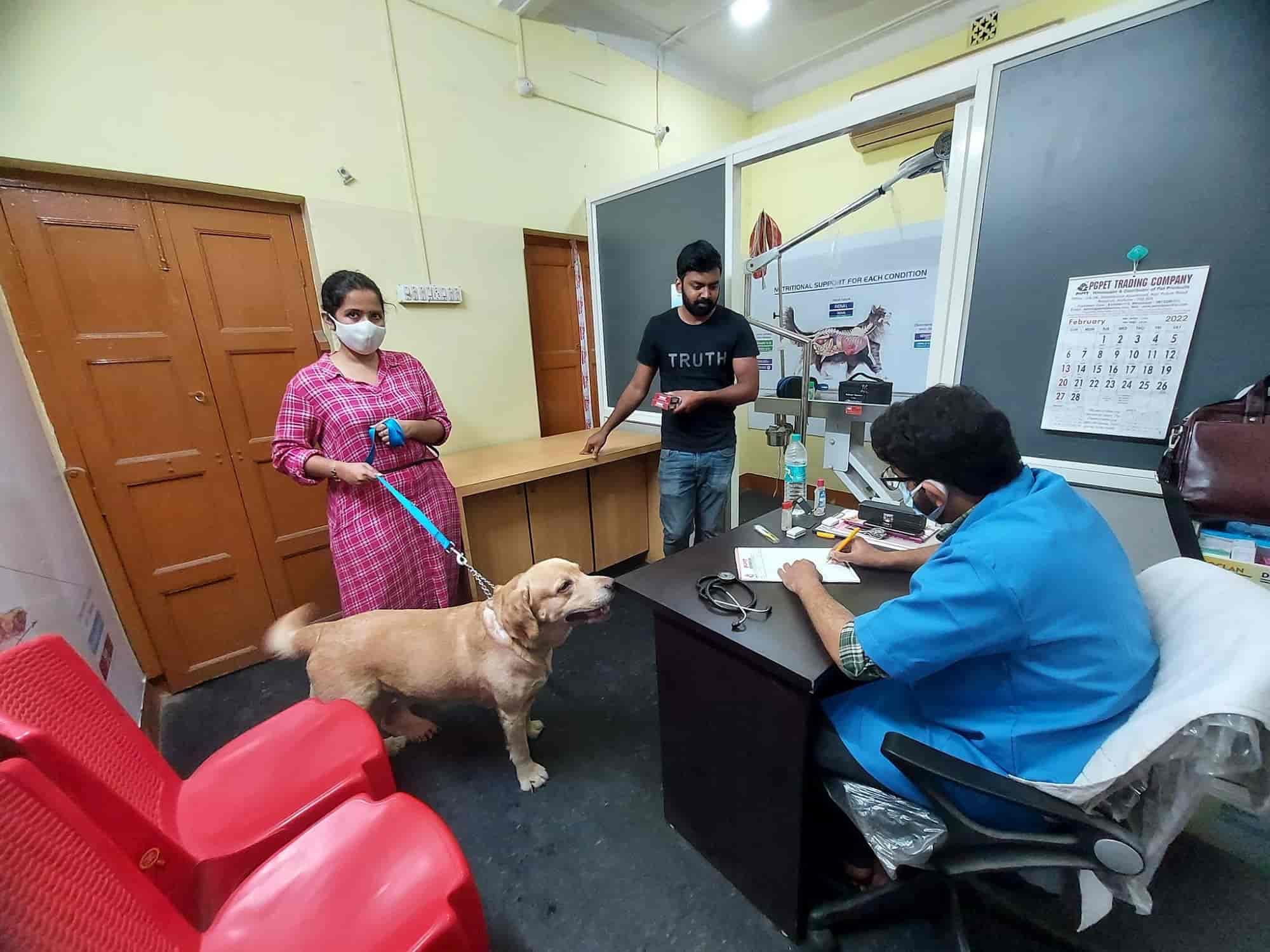 Top Pet Shops in Kolkata Best Pet Store near me Justdial