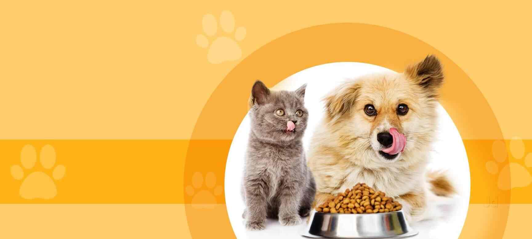 Top Pet Shops in Kolkata Best Pet Store near me Justdial