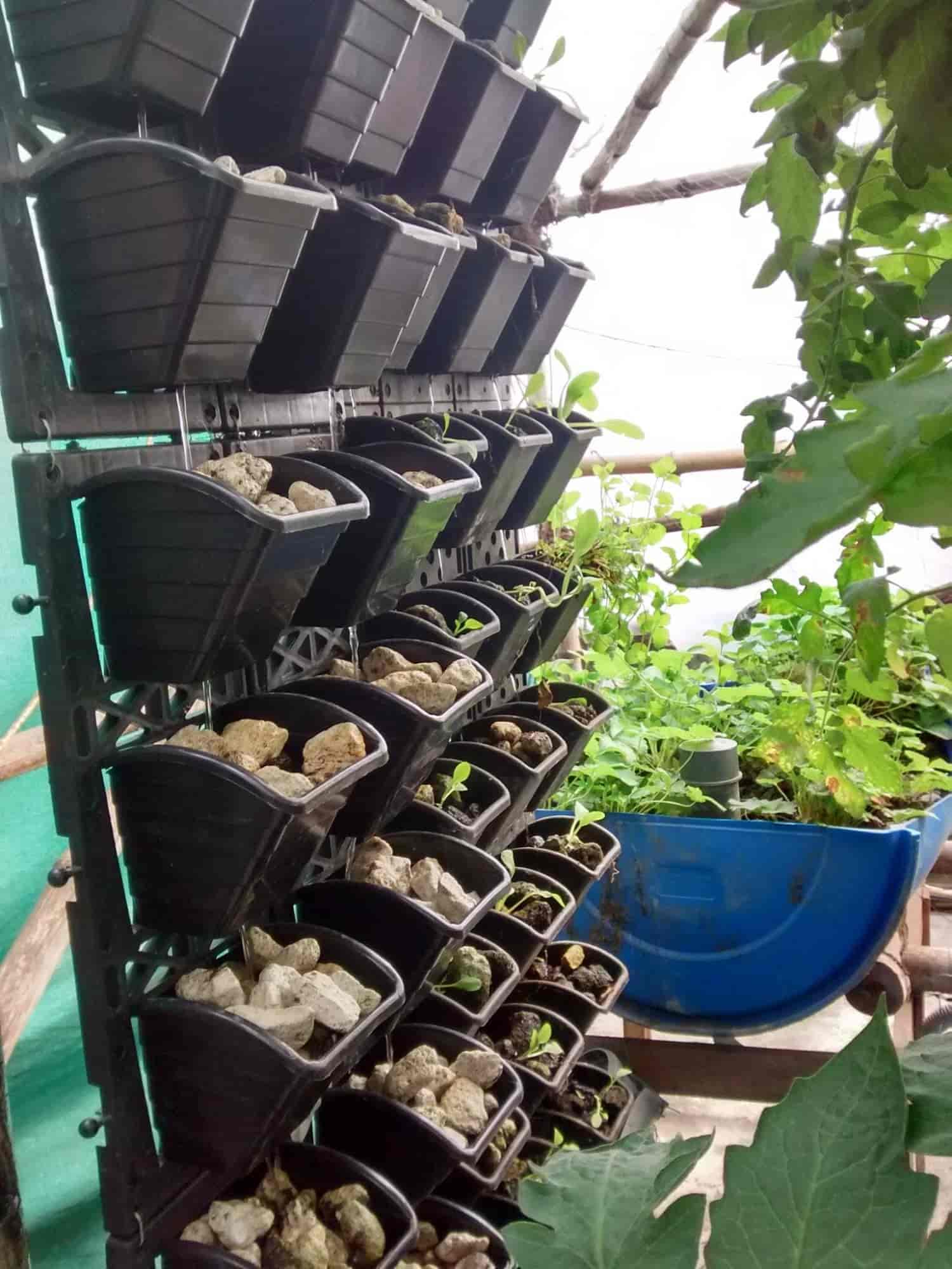 Urbagrow Aquaponics in Santoshpur,Kolkata Best Plant Nurseries in