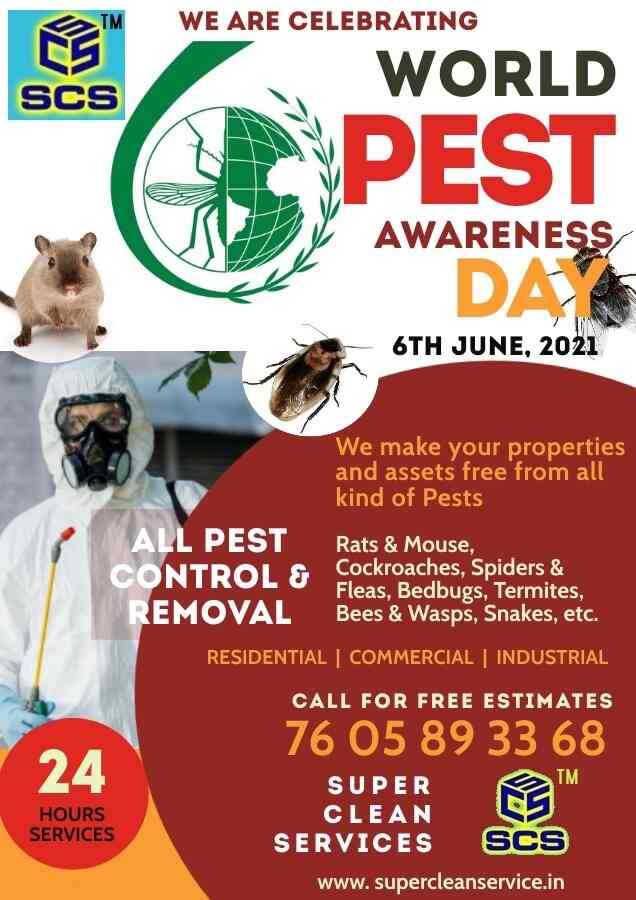 Super Clean Services in Birati,Kolkata Best Carpet Cleaning Services