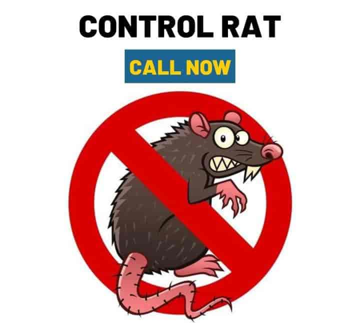 Super Clean Services in Birati,Kolkata Best Carpet Cleaning Services