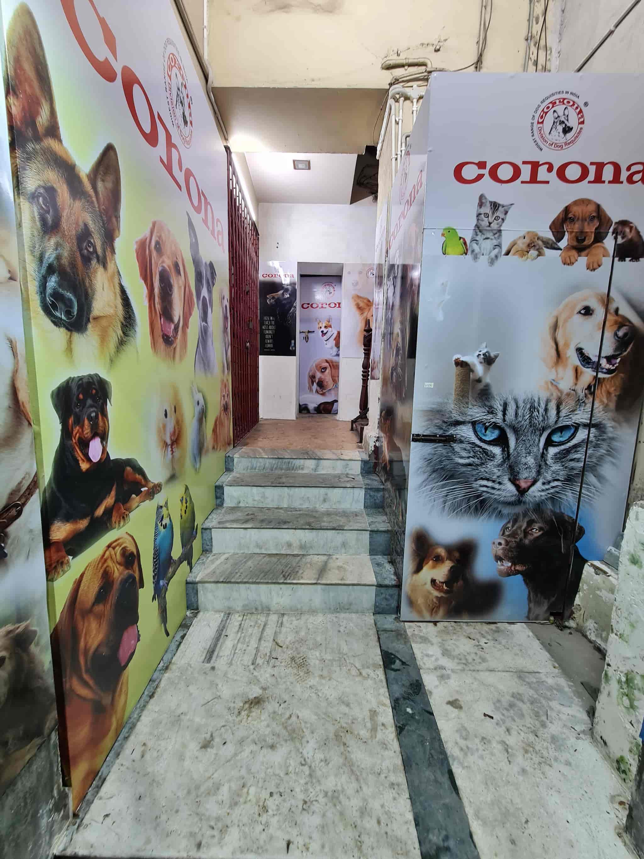New market online pet shop