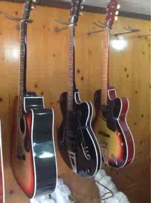 Catalogue Gibtone Guitar Corporation in Park Street Kolkata