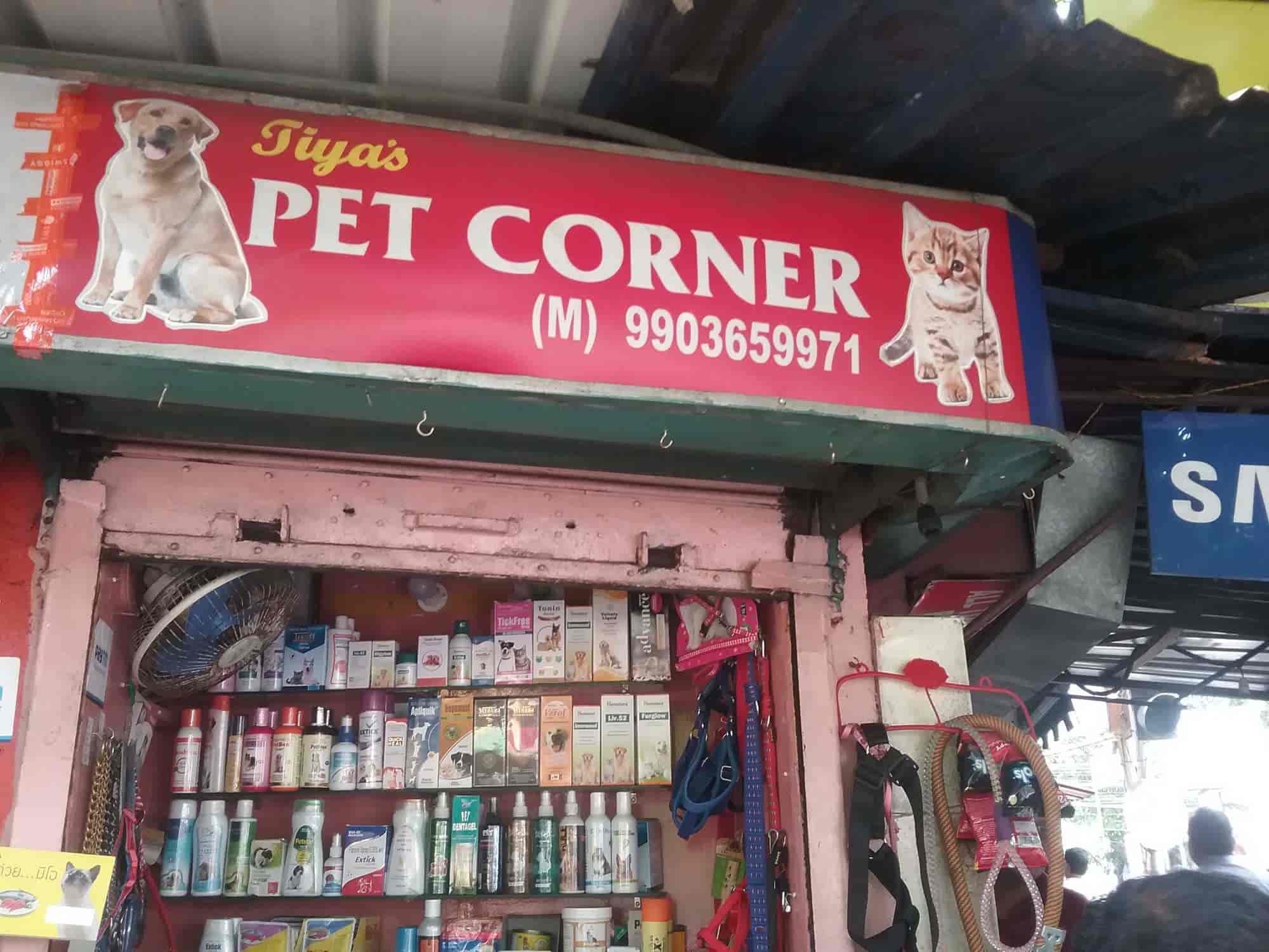 Pets corner near me new arrivals