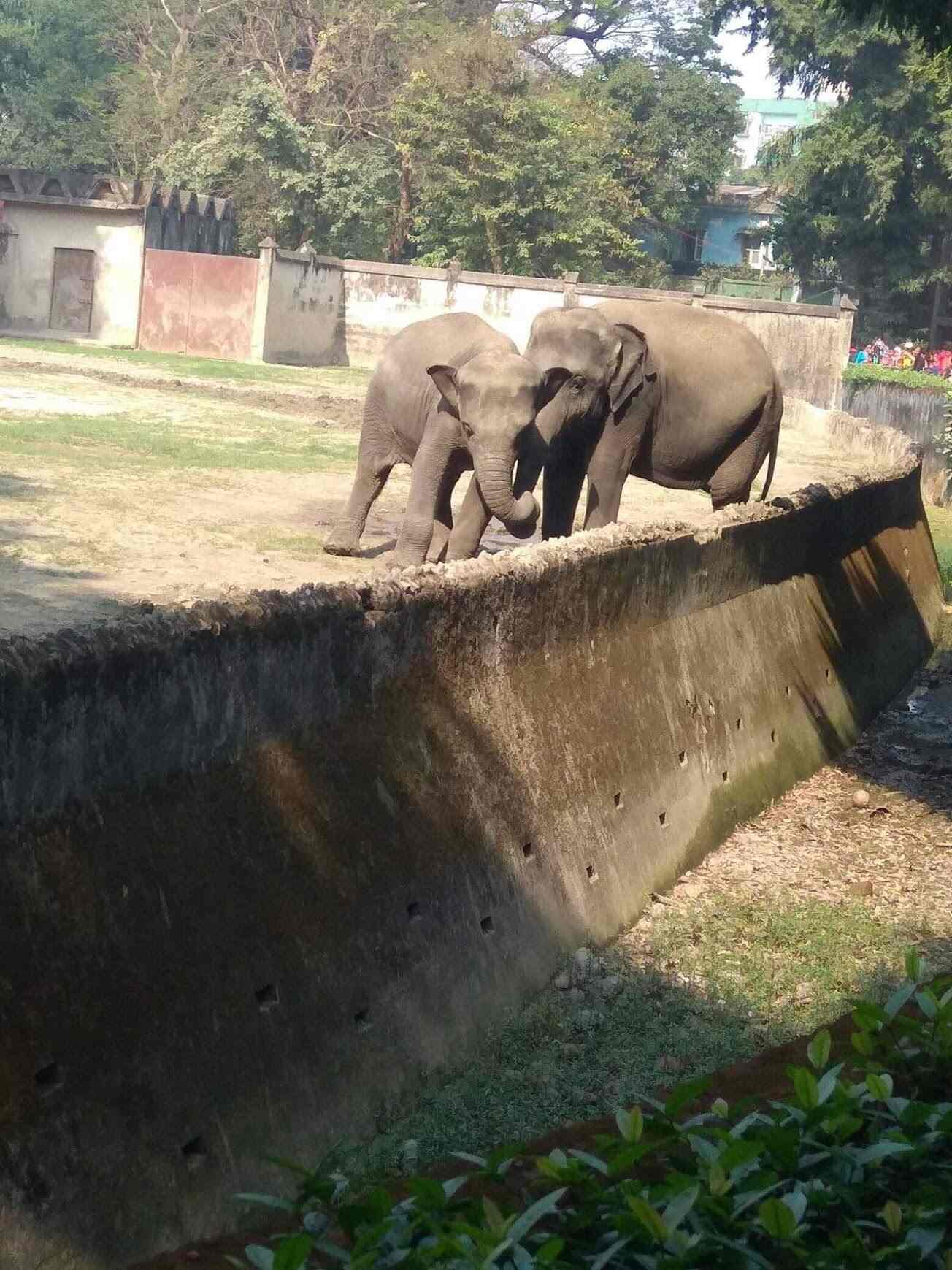 Top Zoo in Belgachia - Best Animal Park Kolkata - Justdial Top Zoo in Belgachia - Best Animal Park Kolkata - Justdial
