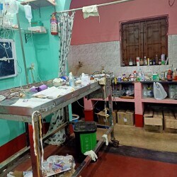 Top Pet Shops in Rajpur Sonarpur - Best Pet Store near me - Justdial