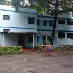 Top Veterinary Hospitals In Mukundapur Best Animal Hospitals Kolkata Justdial