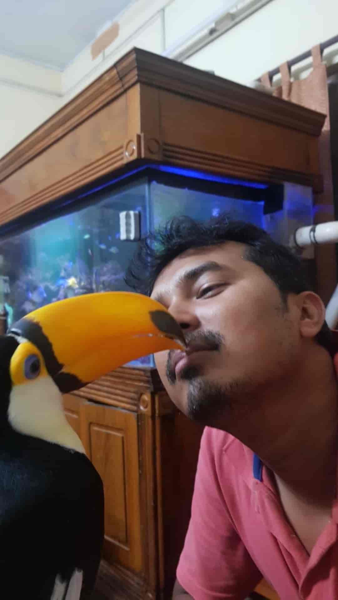 Top 30 Pet Shops For Rabbit in Kolkata Best Pet Stores For Rabbit Justdial