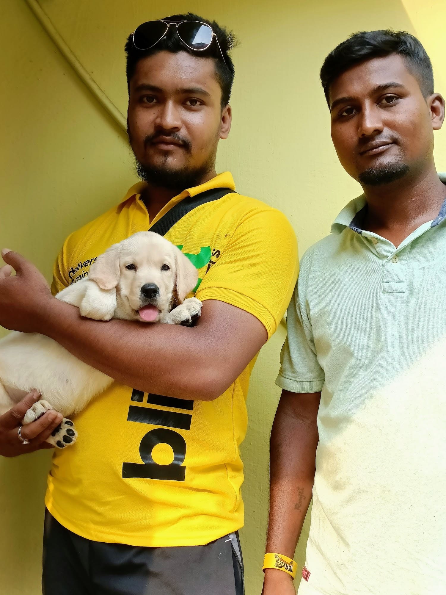 Rb s Kennel in Kasba Kolkata Best in Kolkata Justdial