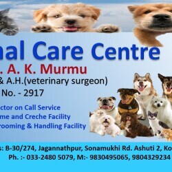 Animal Care Centre in Ashuti - Best Pet Ambulance Services in Kolkata - Justdial Animal Care Centre in Ashuti - Best Pet Ambulance Services in Kolkata - Justdial