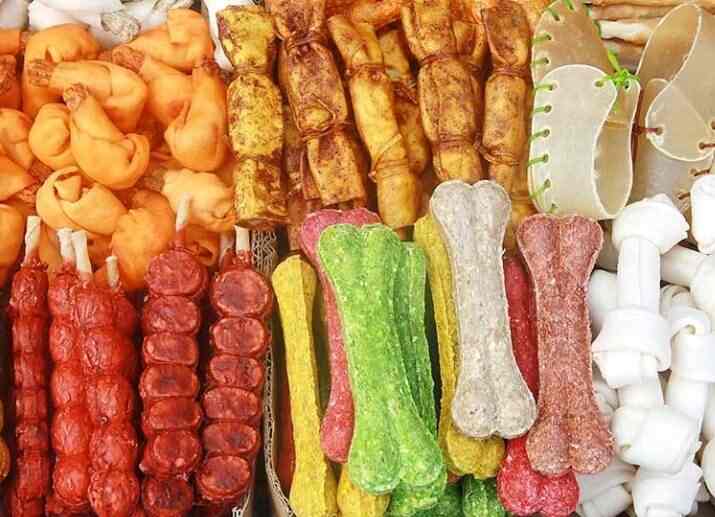 Love & Care Pet Clinic, Kasba Pet Shops in Kolkata Justdial