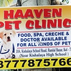 Haaven Pet Clinic in Haltu - Best Veterinary Clinics in Kolkata - Justdial Haaven Pet Clinic in Haltu - Best Veterinary Clinics in Kolkata - Justdial