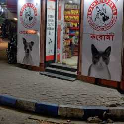 Best dog 2025 shop in kolkata
