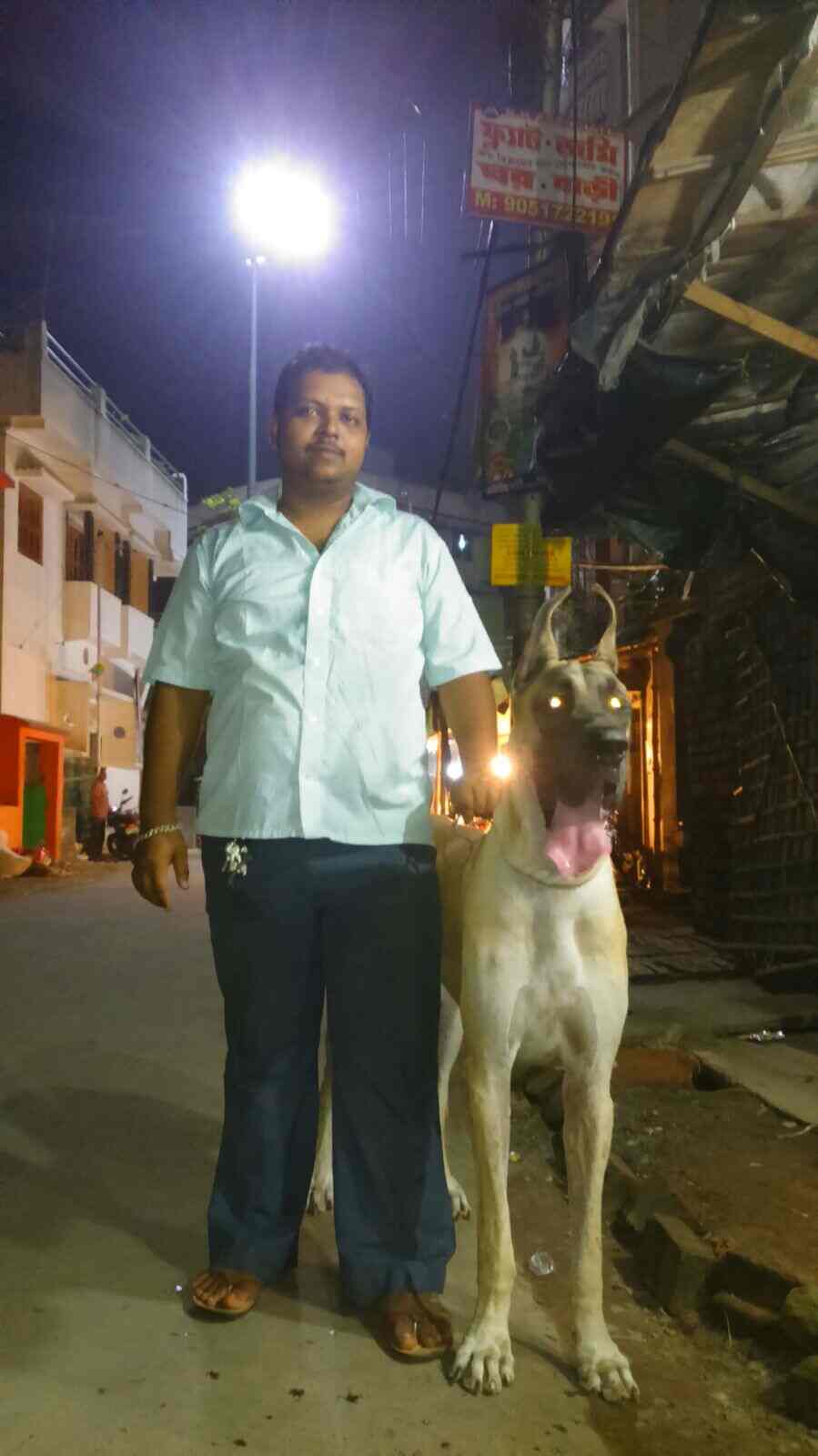 Top Pet Shops in Kolkata Best Pet Store near me Justdial