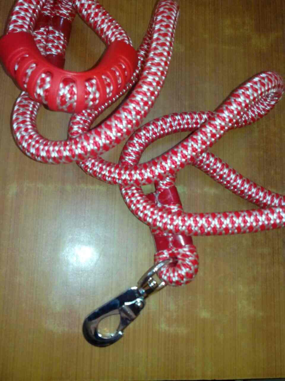 Top Pet Shops in Kolkata Best Pet Store near me Justdial