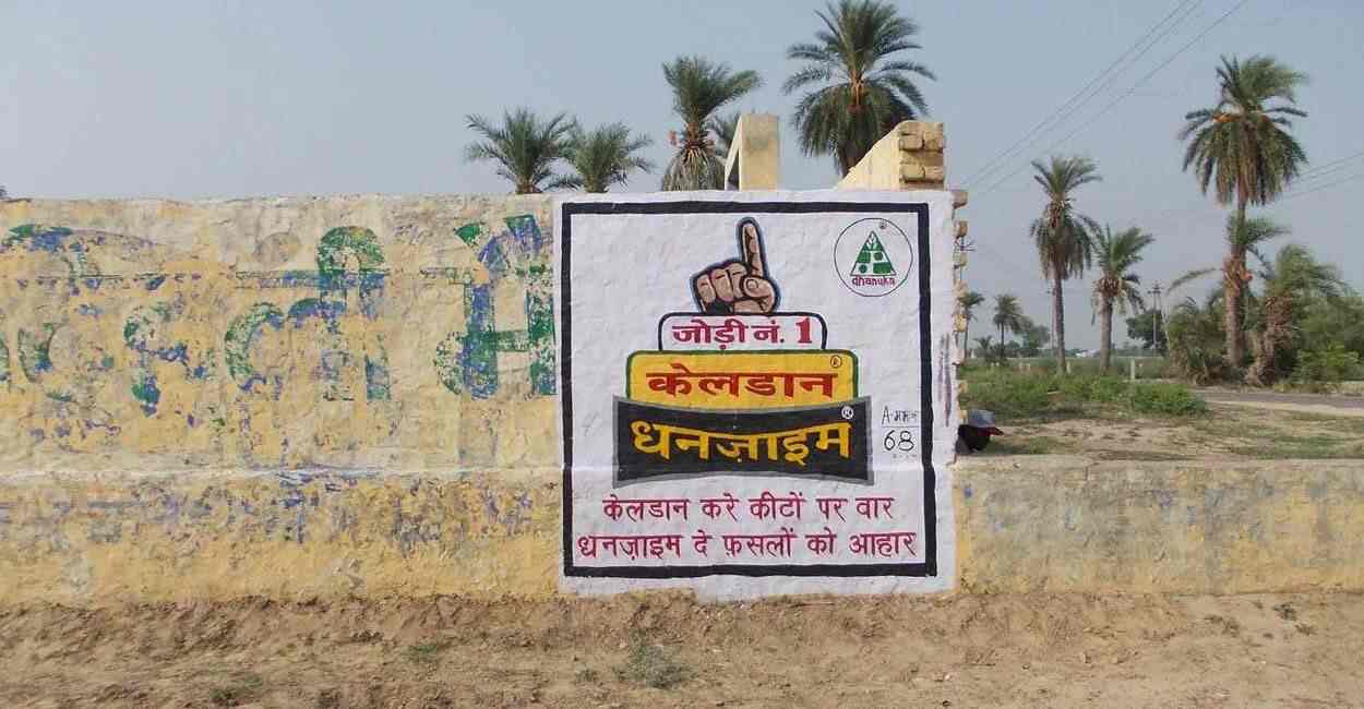 Top Photo Printing Services in Salt Lake City Sector 5 Best Digital