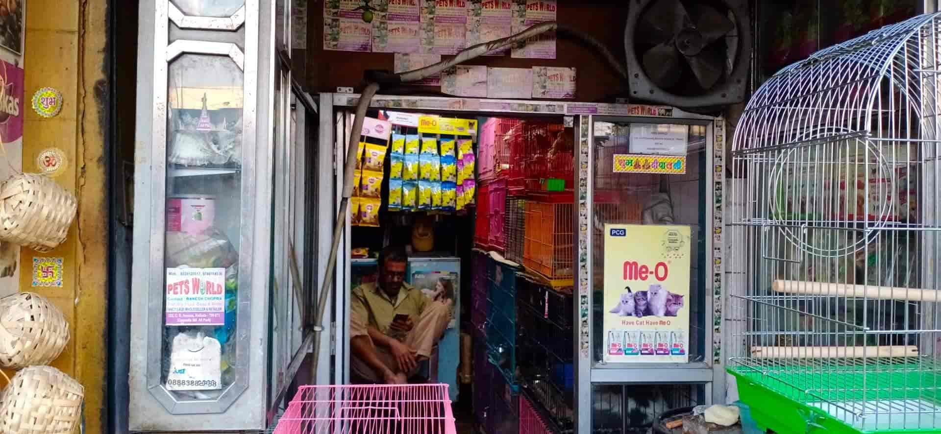 Top 30 Pet Shops For Rabbit in Kolkata Best Pet Stores For Rabbit