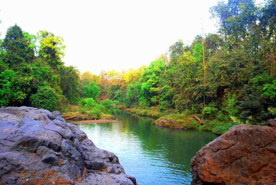 Top Hotel Reservations For Puri in Nangi, Kolkata near me Justdial