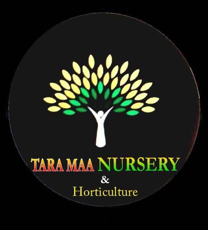 Tara Maa Nursery & Horticulture in Mukundapur,Kolkata Best Plant