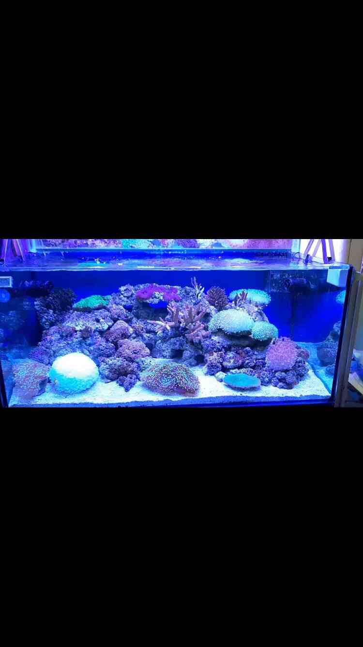 Top 50 Fishing Equipment Dealers in Kolkata Best Fishing Accessory