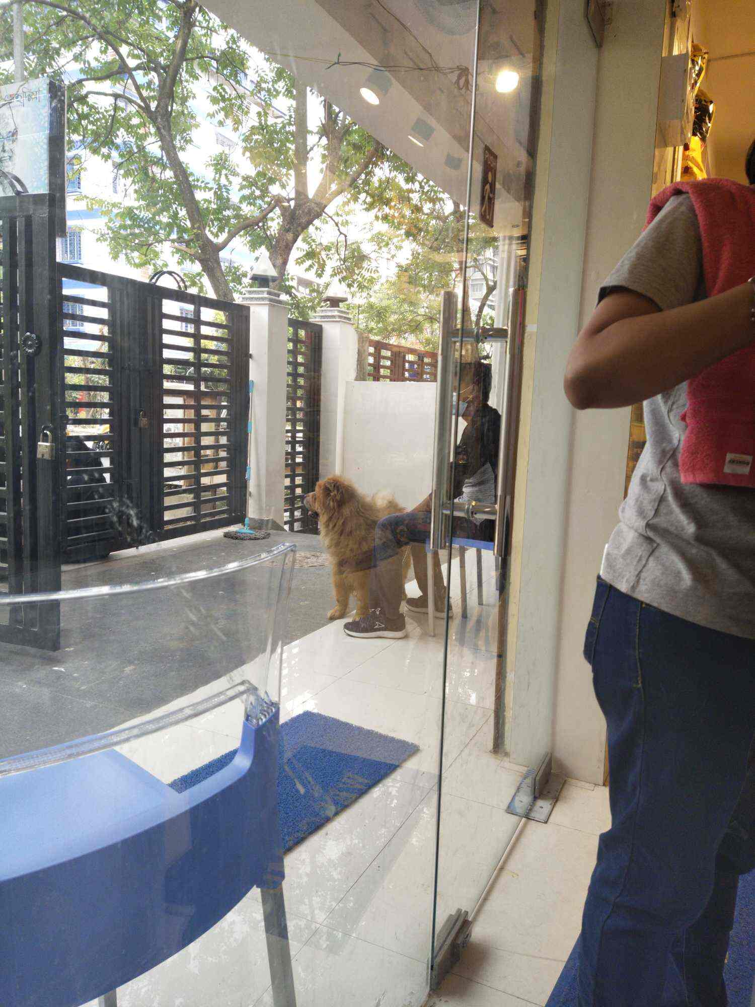 Vetassure Pet Clinic Veterinary Doctors Book Appointment Online