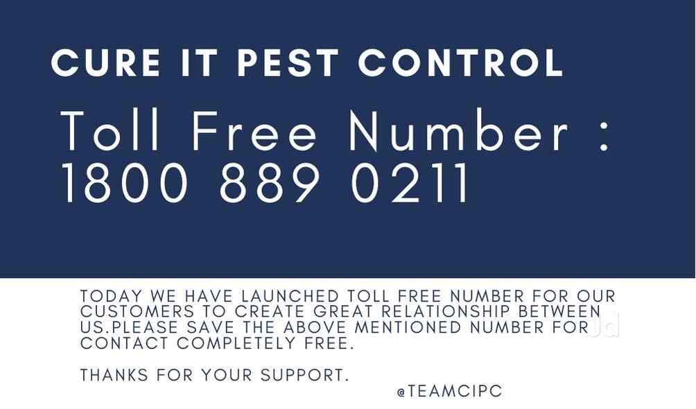Cure It Pest Control, Nona Chandanpukur Pest Control Services in Kolkata Justdial