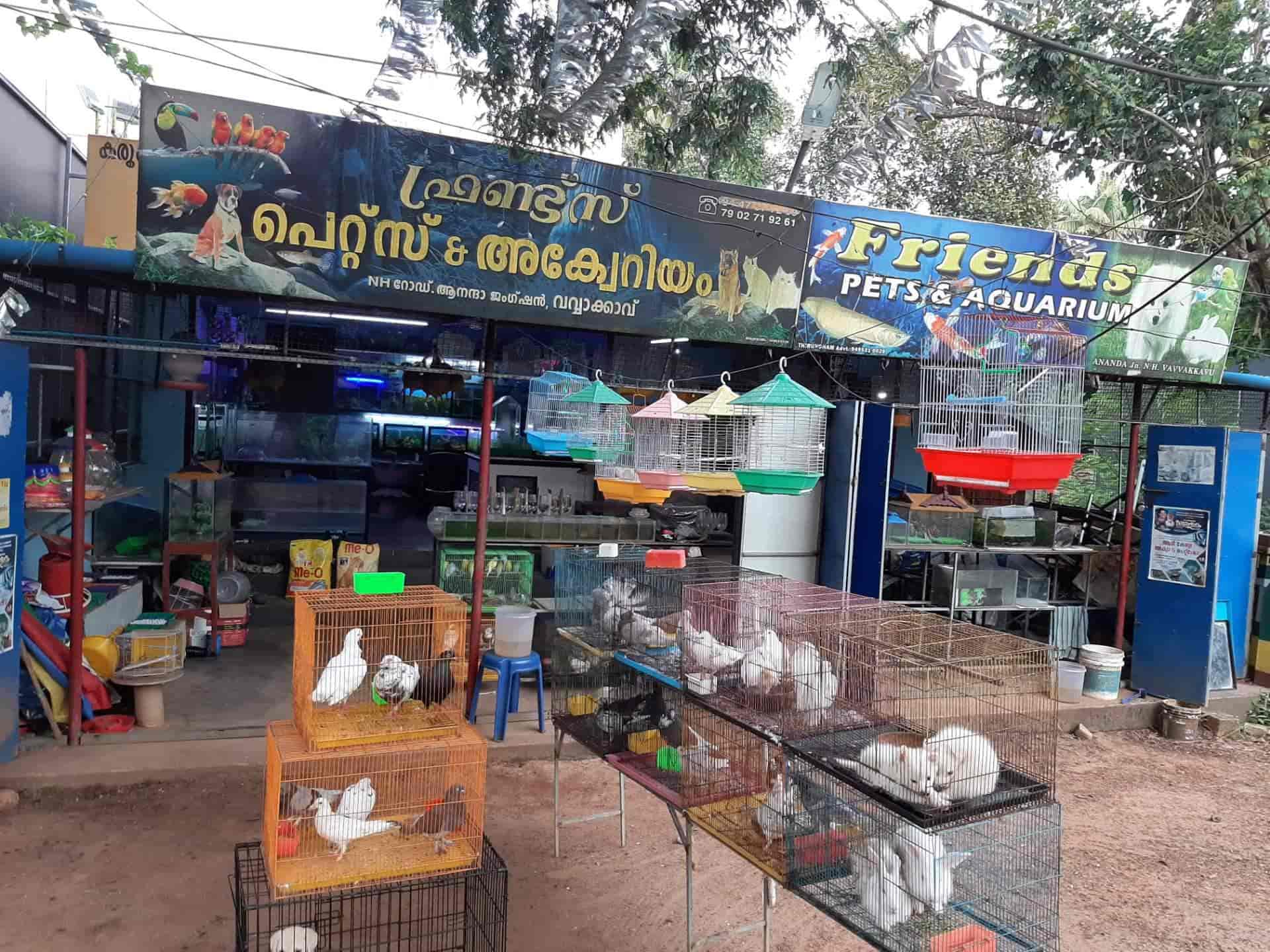 Top 50 Fish Aquarium Dealers in Kollam Best Fish Aquarium Shops