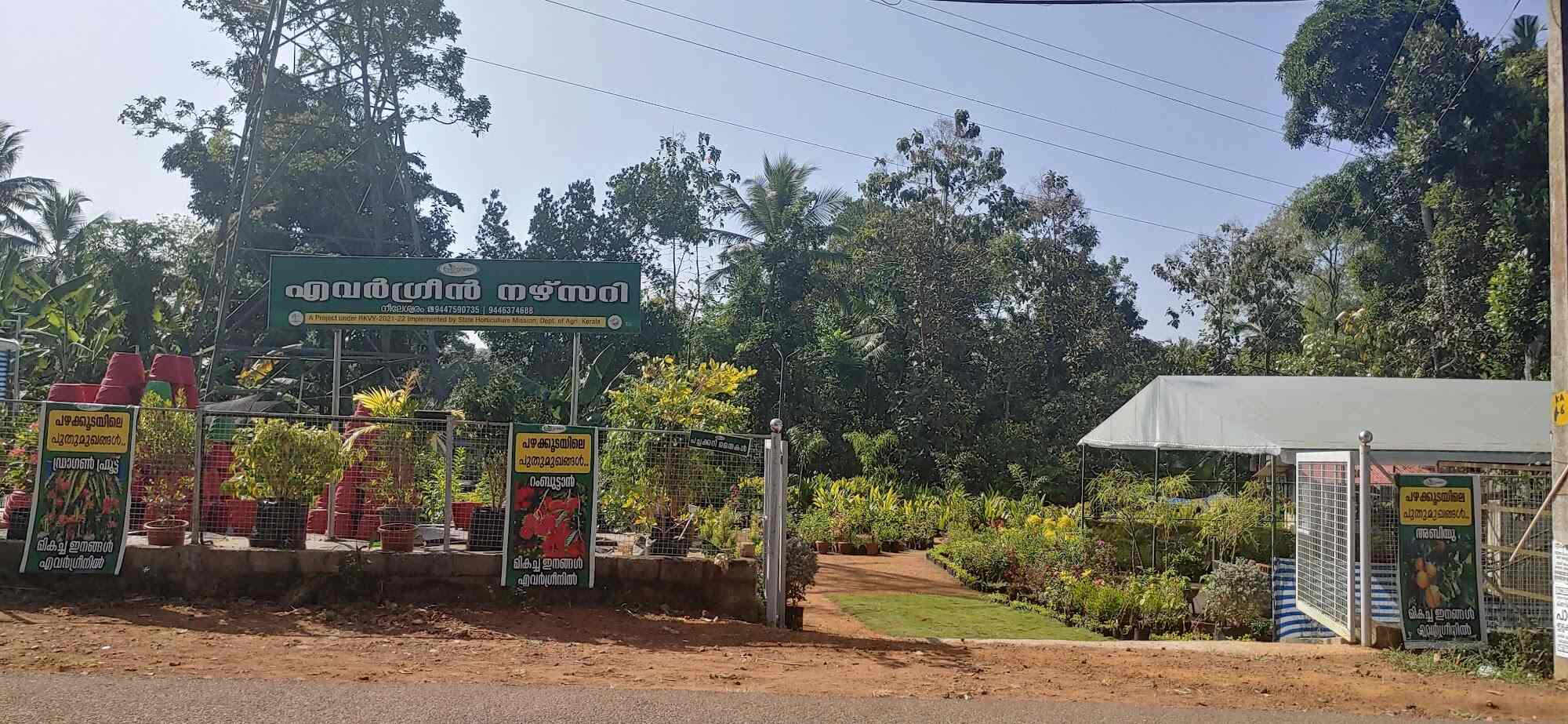 Top Plant Nurseries in Kottathala,Kollam Best Government Plant Nurseries near me Justdial