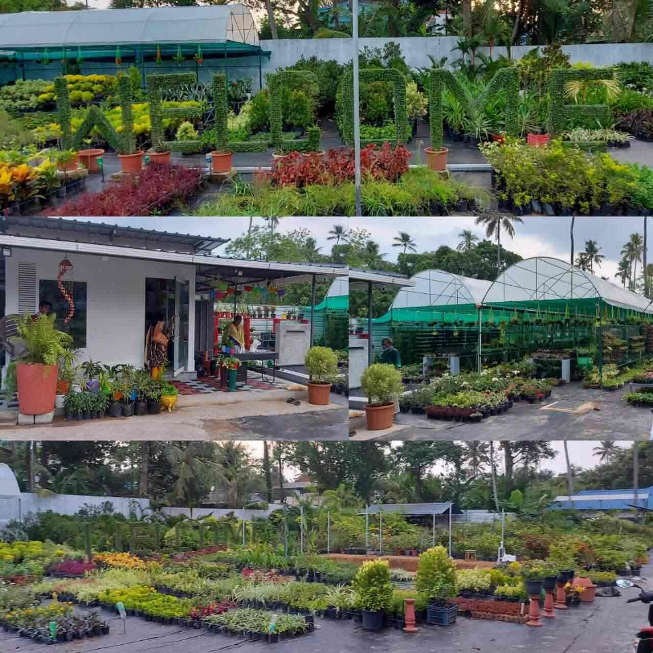 Moana Garden, Thekkevila Plant Nurseries in Kollam Justdial