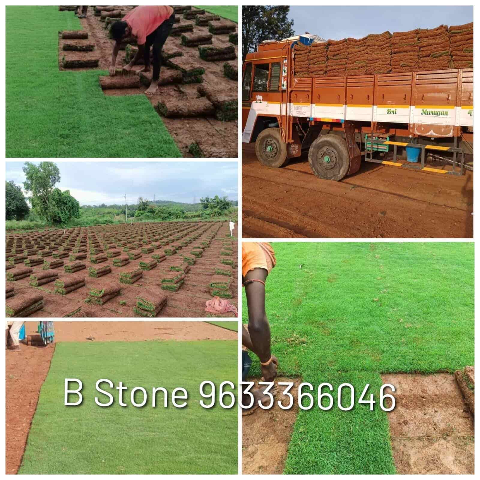 Top Interlocking Paver Block Dealers in Kottarakara Best Paver Block