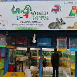 live parakeets for sale near me