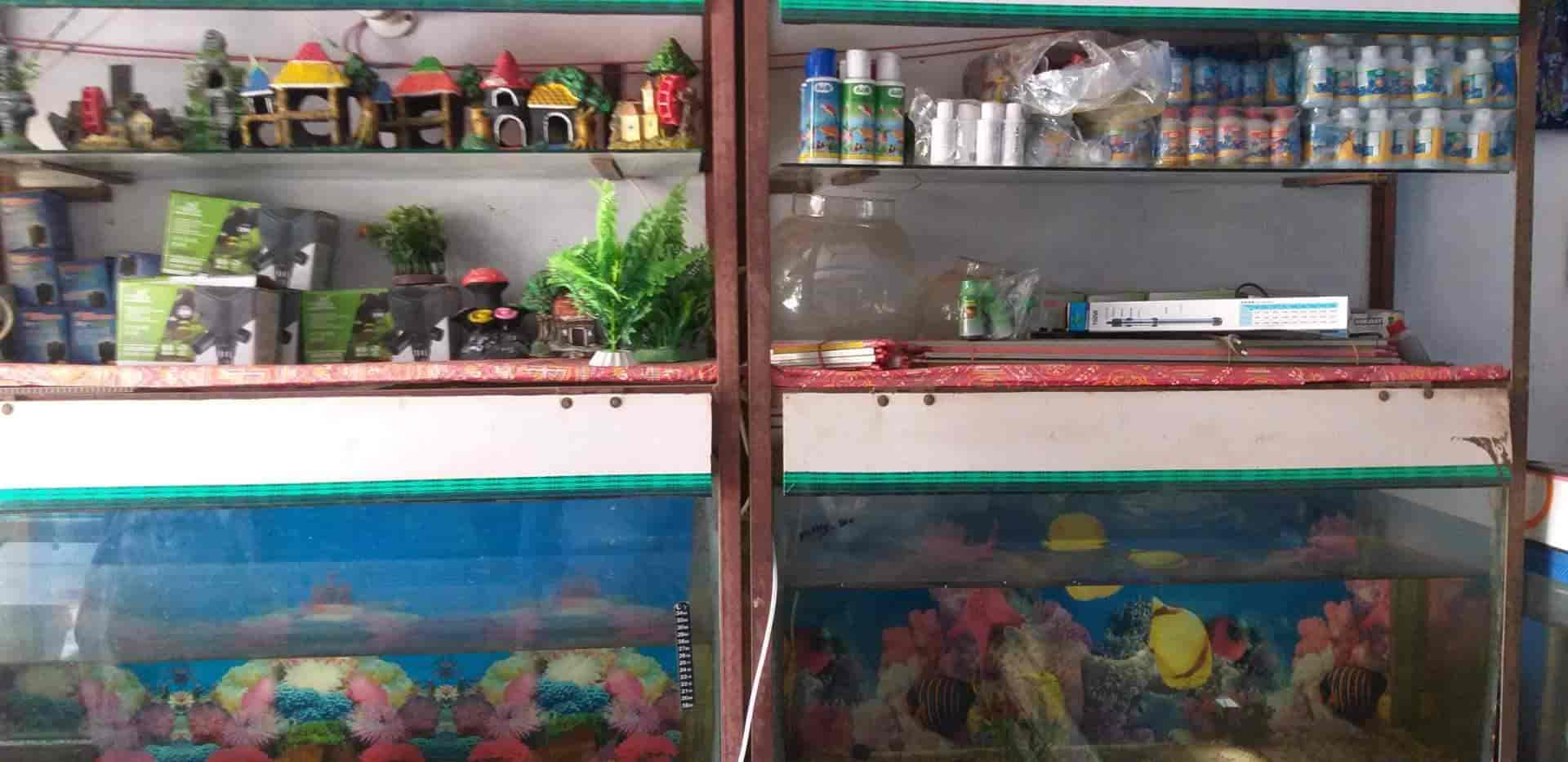Aquarium to buy near sale me