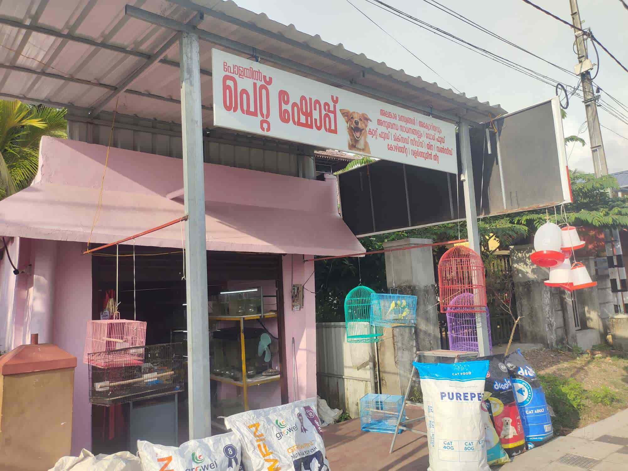 たけ様 リクエスト 4点 まとめ商品 pet shop boys Top Pet Shops in Kottayam - Best Pet Store near me - Justdial