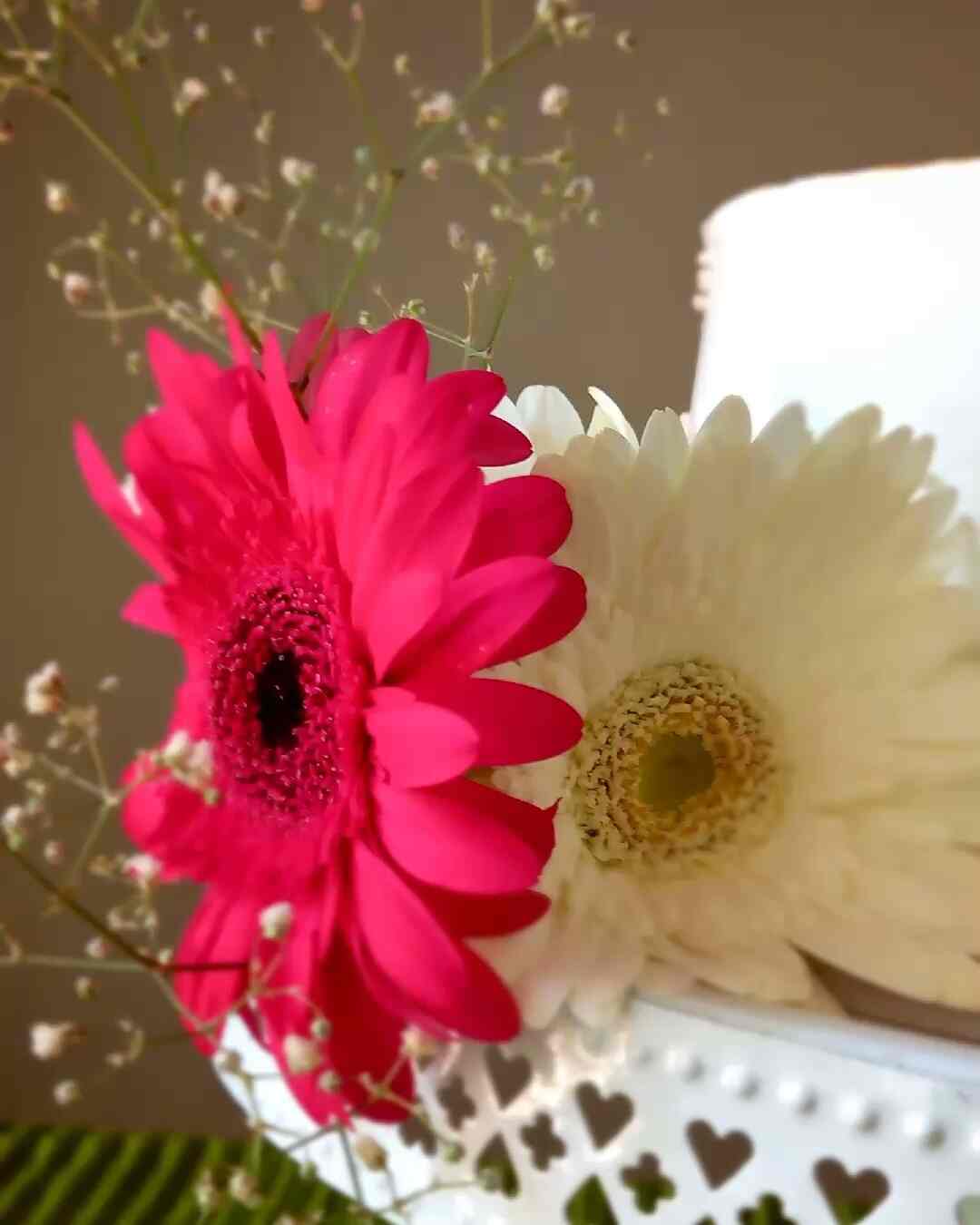 Veettile Cake in Thalayazham,Kottayam Best Cake Shops in Kottayam