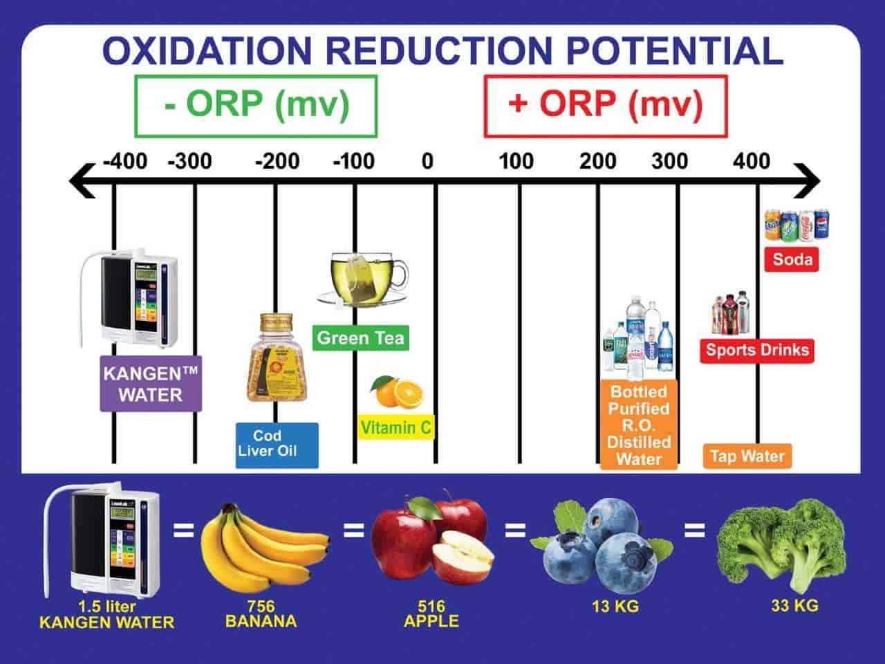 Kangen Water in Kumaranalloor,Kottayam Best Commercial Water Purifier