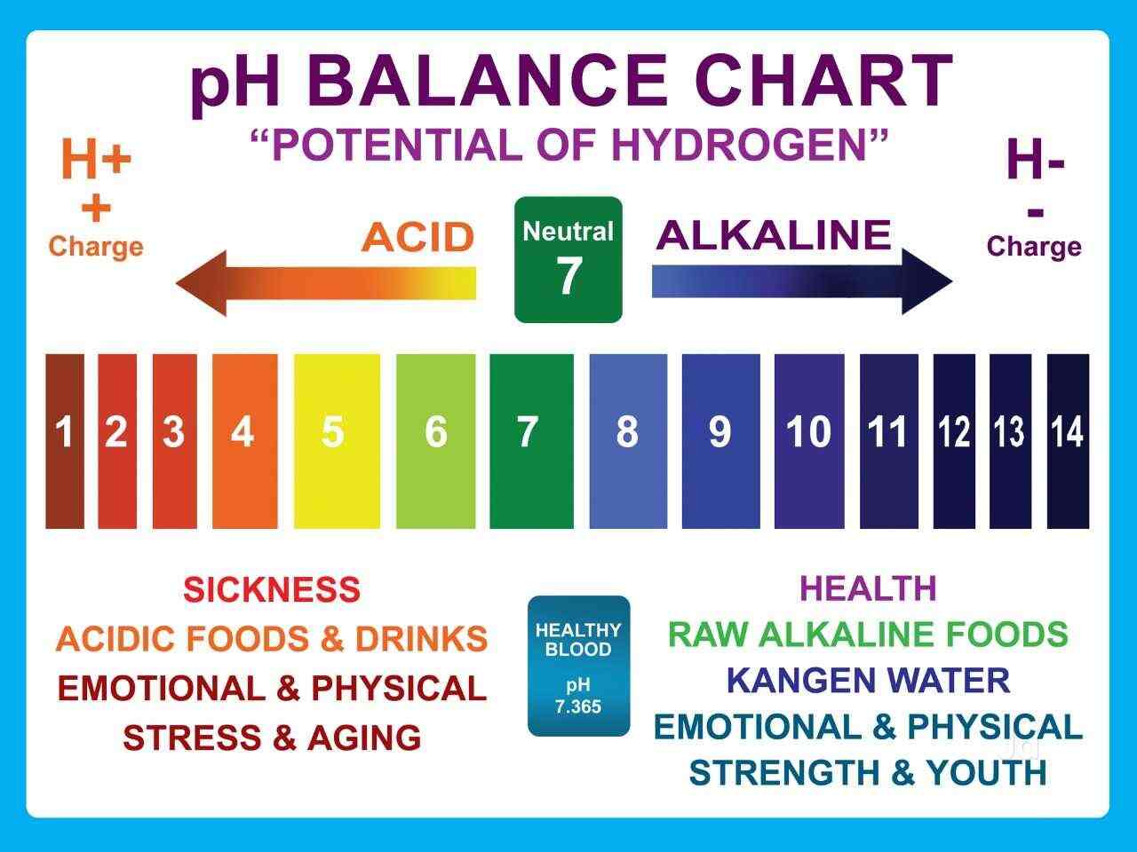 Kangen Water in Kumaranalloor,Kottayam Best Commercial Water Purifier