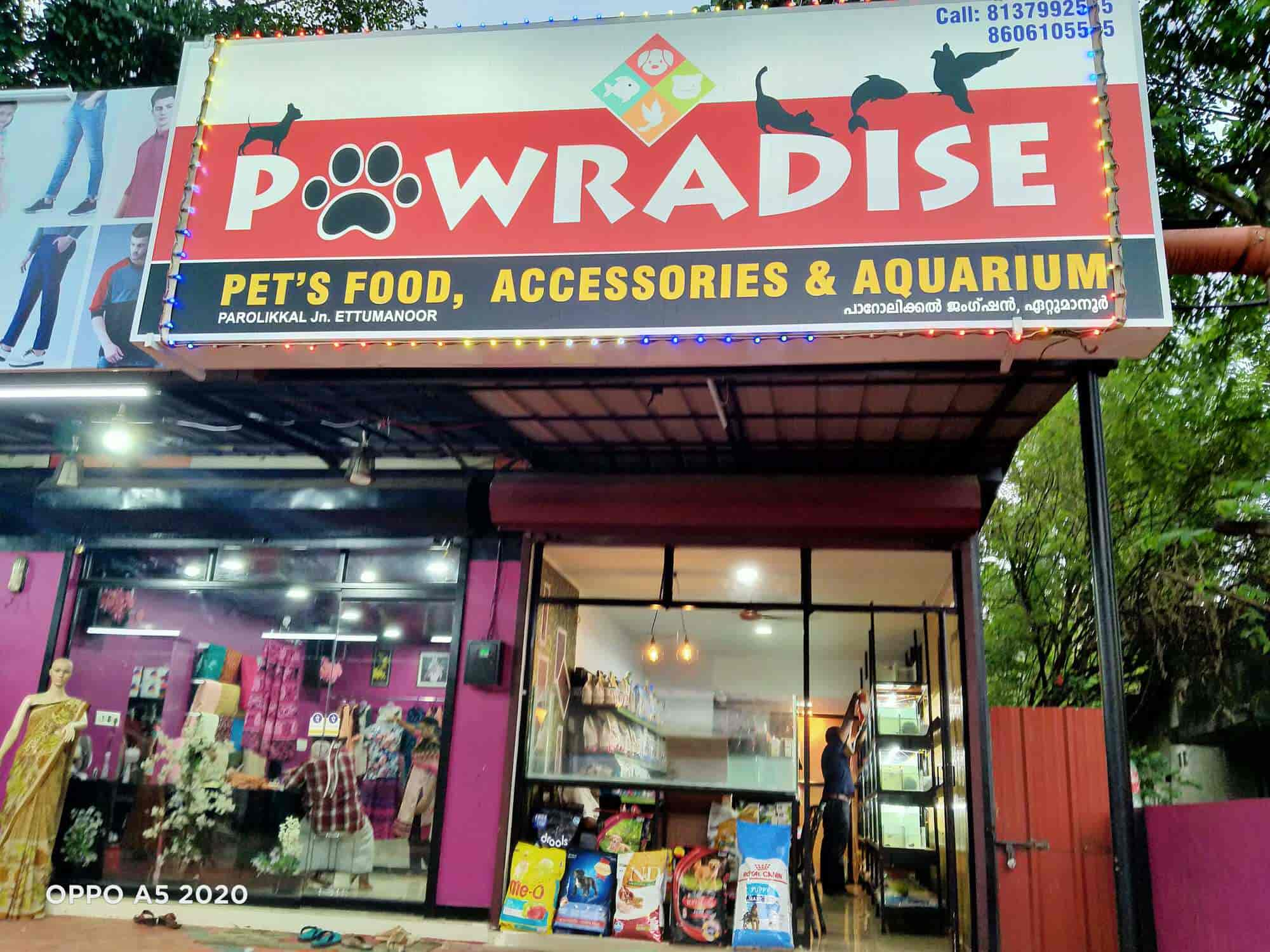 Pawradise Pet s Aqua Store in Ettumanur Kottayam Best Pet