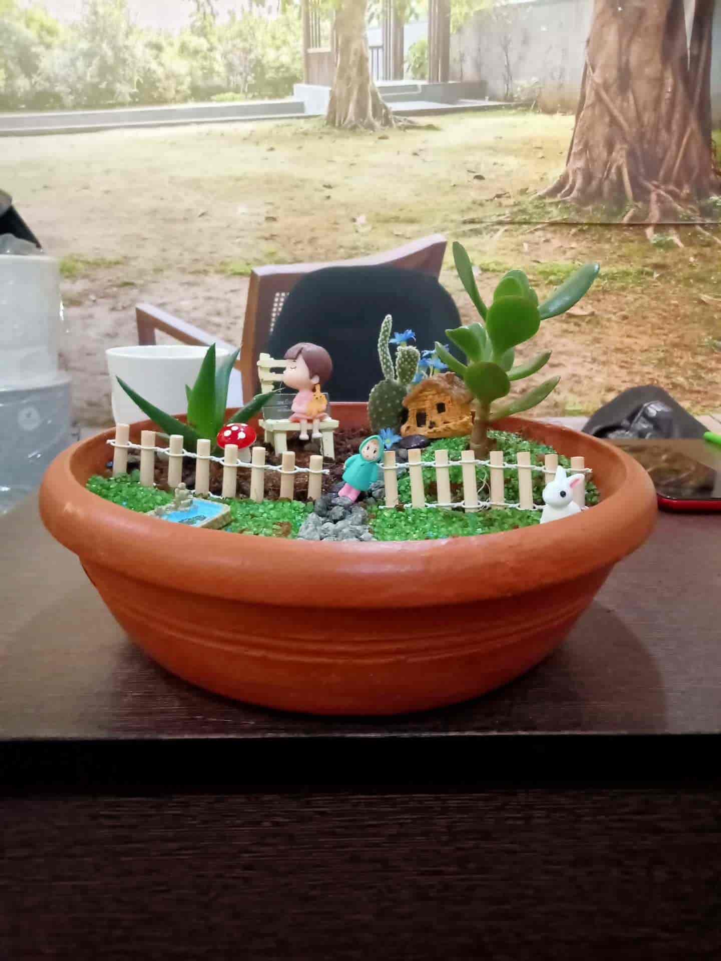 Pianta Indoor Plants in Kottooly,Kozhikode Best Plant Nurseries in