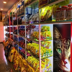 Top Pet Shops in Kozhikode Best Pet Store near me Justdial