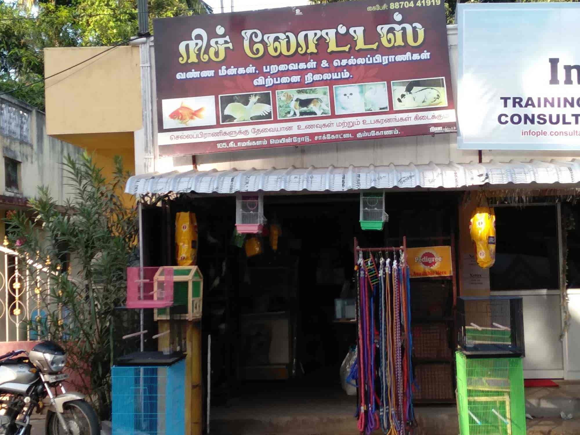 Top Pet Shops in Kumbakonam Best Pet Store near me Justdial