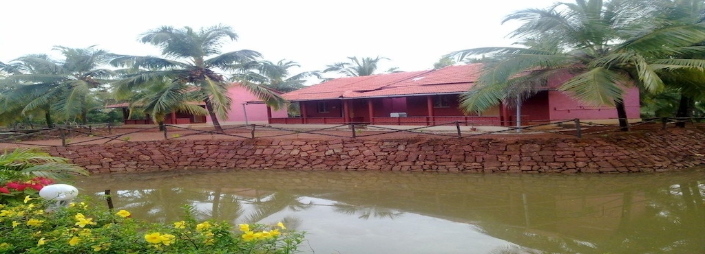 go green homestay home stay in kumta justdial