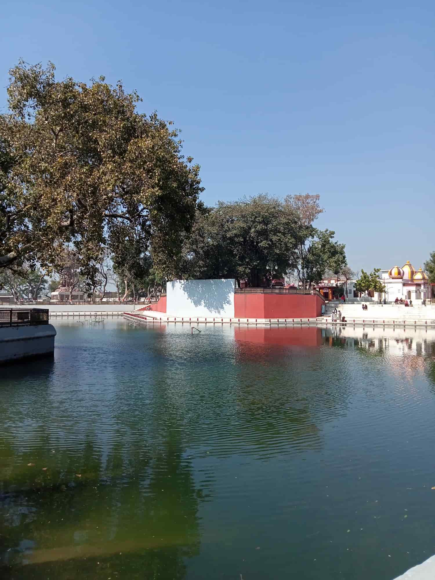 Jyotisar
