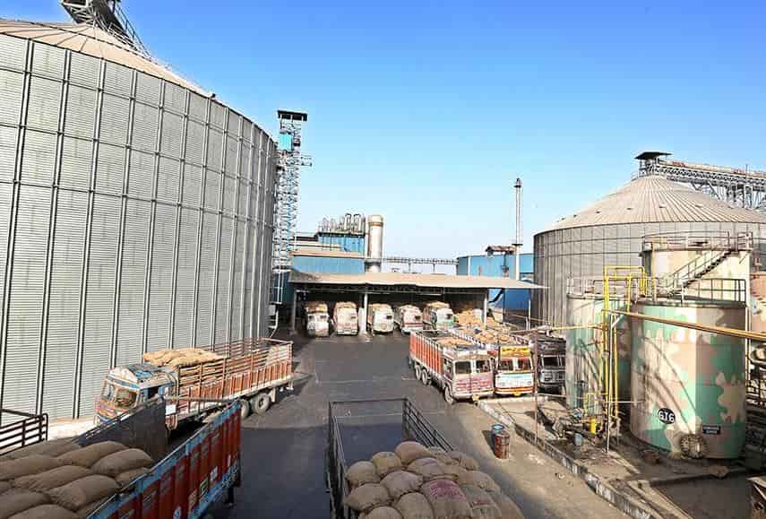 Top Castor Oil Manufacturers in Kutch कास्टर आयल मनुफक्चरर्स, कूच