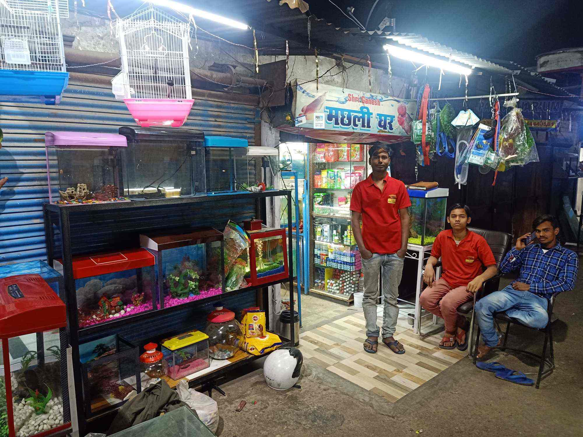 Top 100 Fish Aquariums in Lucknow Best Fish Aquarium Dealers Justdial