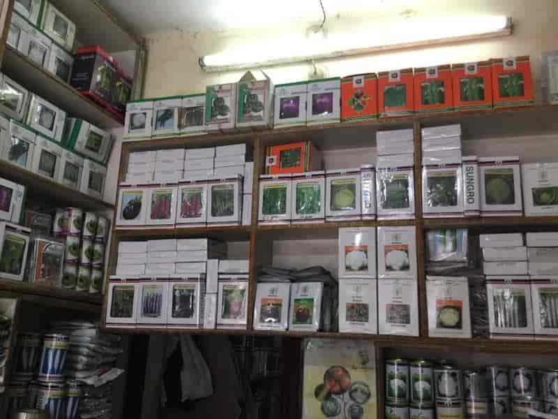 Top Mushroom Seed Retailers in Barabanki Best Mushroom Seed Suppliers